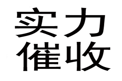 大丰讨债公司：债务纠纷全解析：从讨债到收账的全程指导